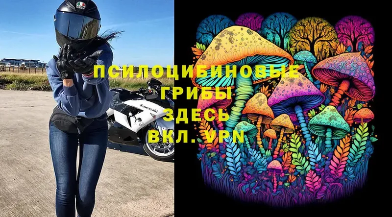 Галлюциногенные грибы Magic Shrooms  нарко площадка как зайти  Болотное 